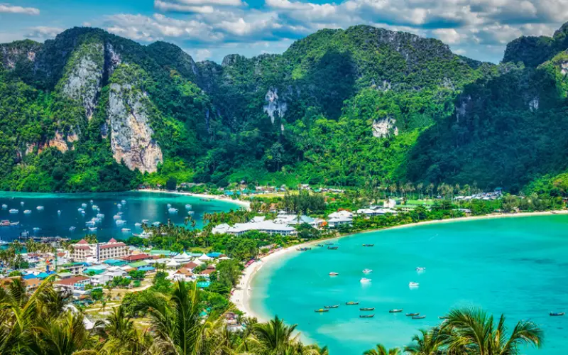 Caminhos tropicais revelam natureza intocada