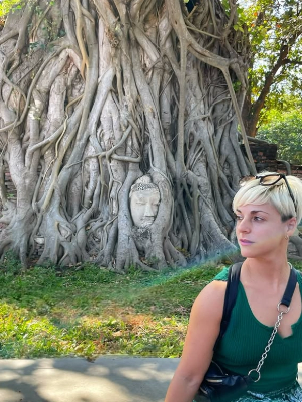 Buda nas raízes cria visão impressionante