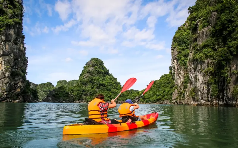 Reme de caiaque até a natureza selvagem