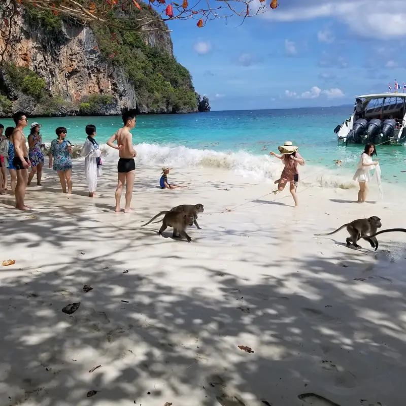 Conheça Monkey Beach com guia local