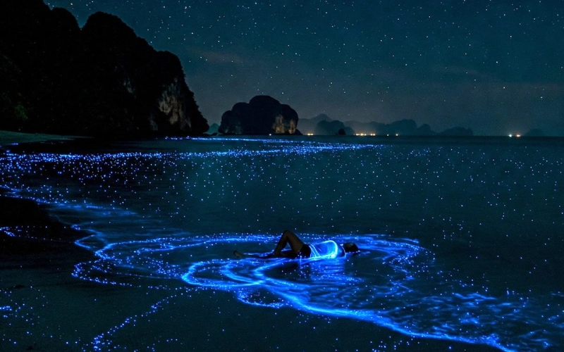 Em Krabi o plâncton brilha à noite no mar