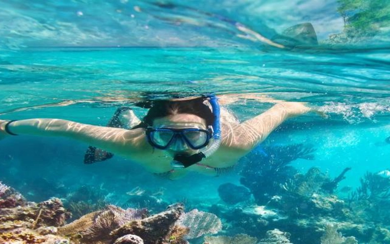 Faça snorkel em recifes rasos e veja peixes e tartarugas