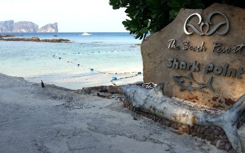 Shark Point faz de Long Beach um paraíso de mergulho