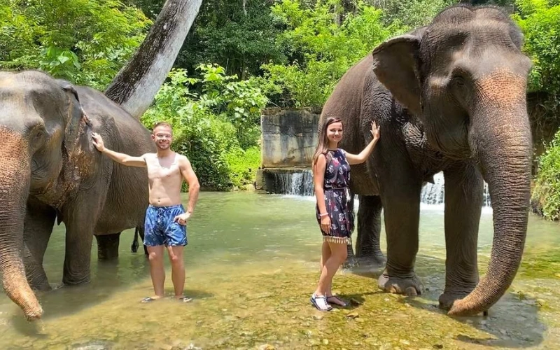 Visite elefantes em passeio consciente