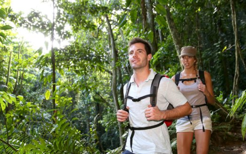 Onde a floresta encontra o mar, a descoberta espera.