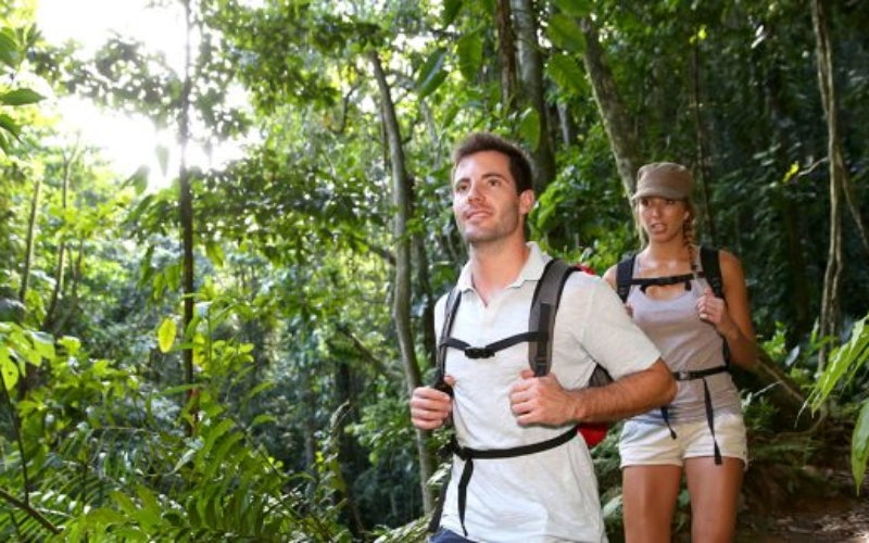 Onde a floresta encontra o mar, a descoberta espera.