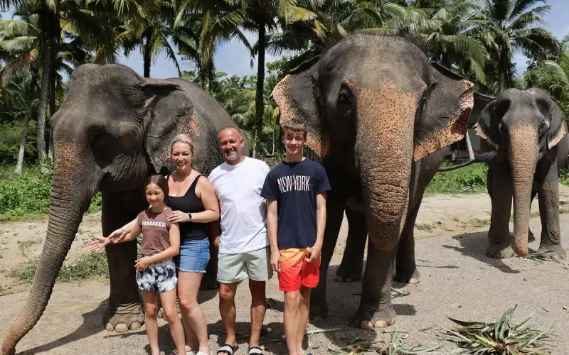 Acampamento de elefantes oferece encontros gentis