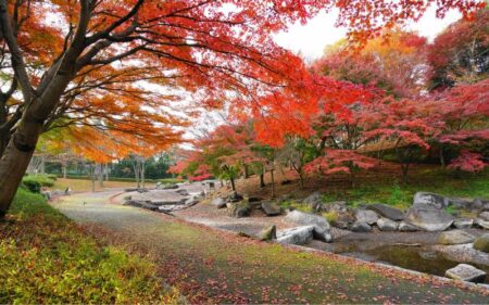 Corea del Sur y Vietnam en la temporada de las hojas rojas