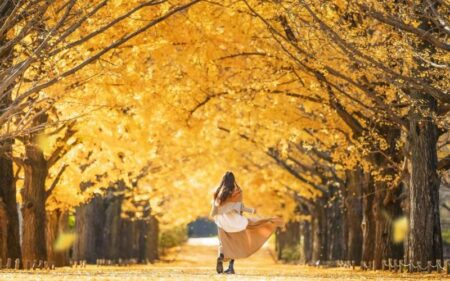 Viaje de otoño a Japón en 13 días