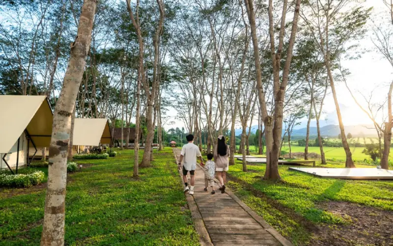 Visite Singha Park e aproveite chá e atividades ao ar livre