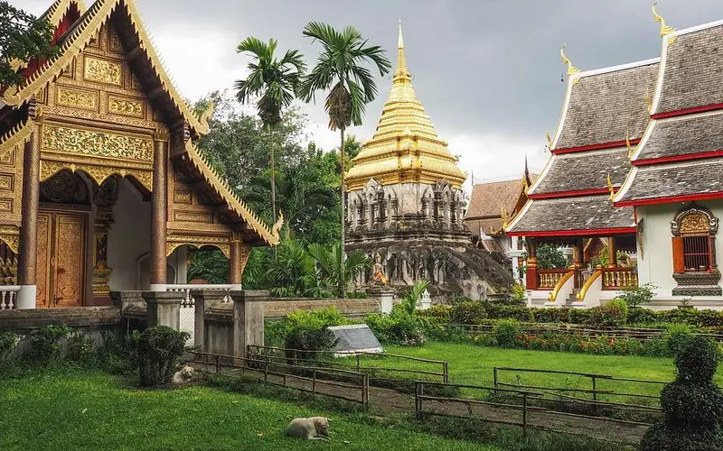 Visite Wat Chiang Man e veja antigas estátuas de Buda