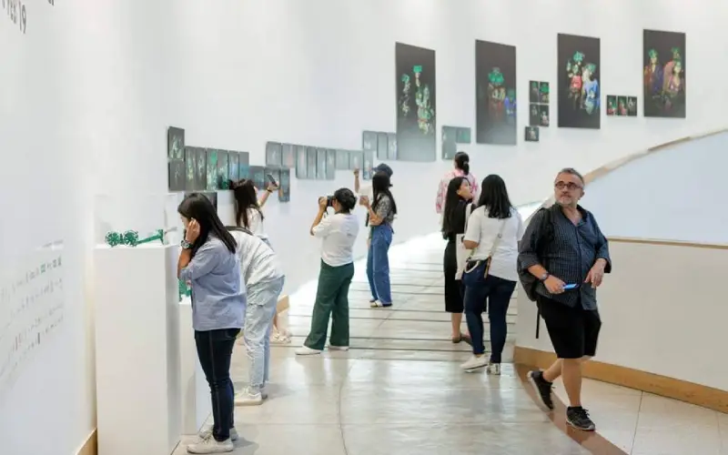 Visitantes exploram arte moderna e tomam café no BACC