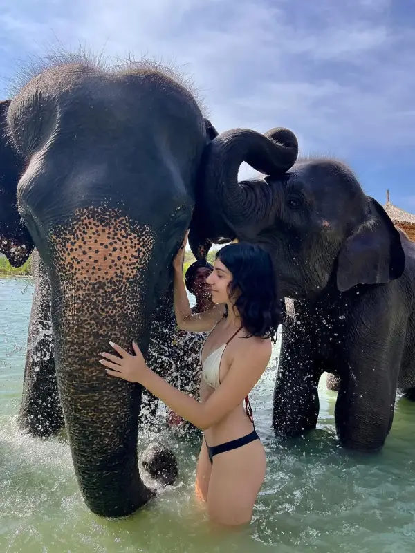 Você vive banho e lama com elefantes no santuário