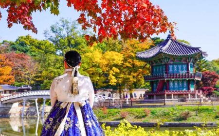Otoño Dorado en Corea del Sur