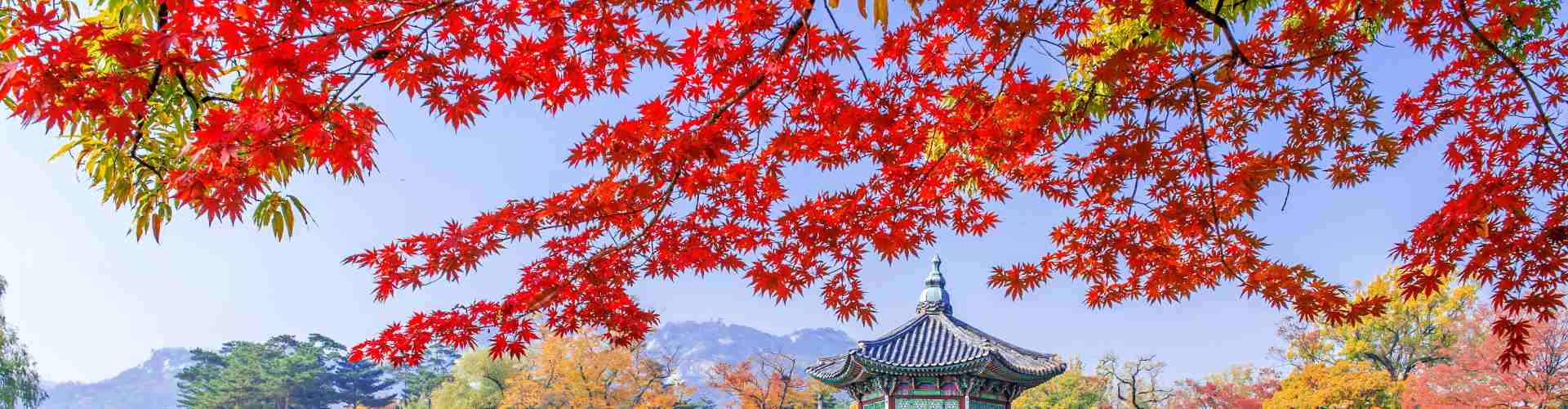 Viaje de otoño a Corea del Sur: Seúl, Busan y Yeosu