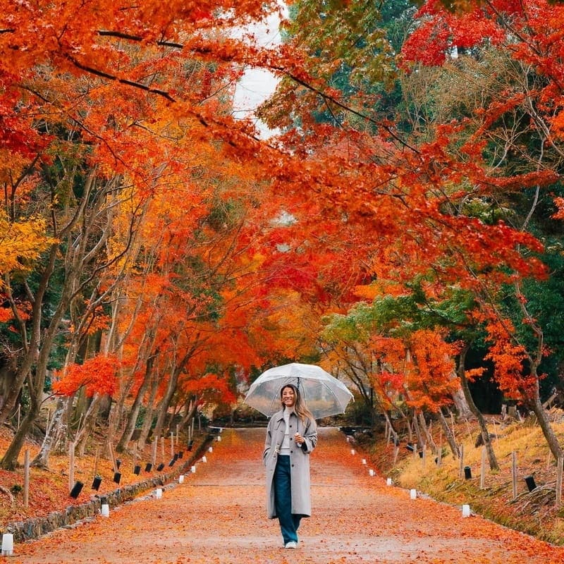 otono-japan