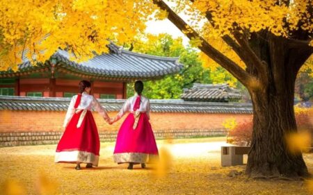 Paquete de viaje privado más vendido de Japón y Corea del Sur