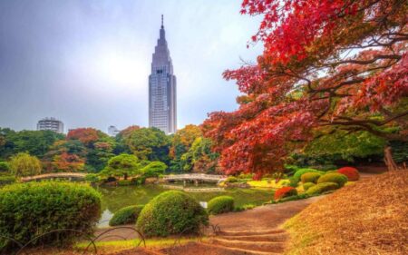 Japão, Coreia do Sul e China na temporada das folhas vermelhas
