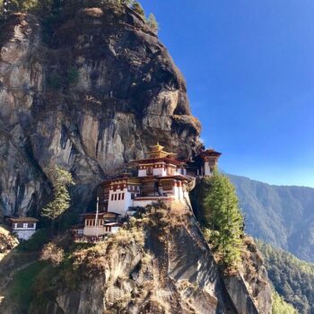 Paro