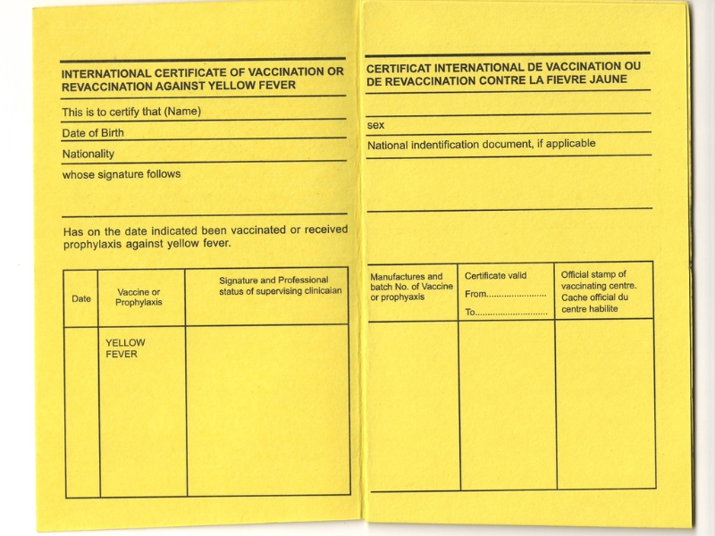 Certificado de Vacinação contra Febre Amarela obrigatório para viajantes do Brasil