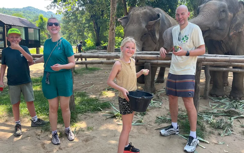 Sai Yok Elephant Haven é um santuário ético onde os visitantes podem observar e cuidar de elefantes resgatados