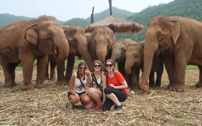 O Elephant Nature Park em Chiang Mai é um destino favorito entre os visitantes.