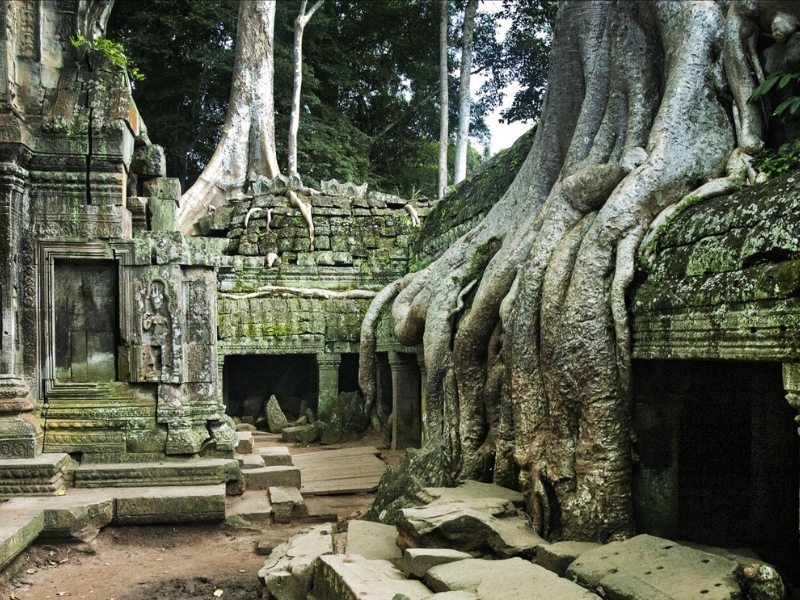 Ta Prohm impressiona pelo encontro entre ruínas antigas e raízes gigantes.