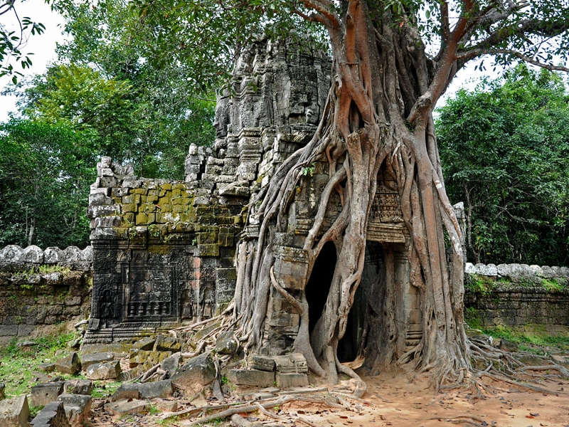 Ta Som – templo antigo e silencioso abraçado pelas raízes gigantes de Angkor