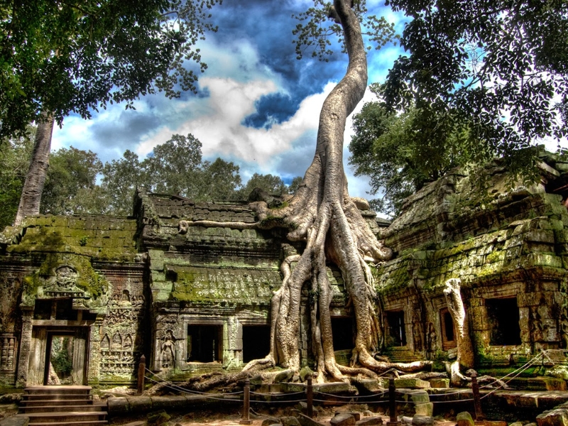 Ta Prohm ao amanhecer revela o encontro entre natureza e ruínas de Angkor