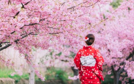 Viagem de cerejeiras ao Japão e Coreia do Sul com grupo em português