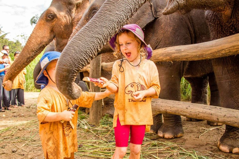 A experiência no santuário de elefantes é única e inesquecível (Crédito: Family Can Travel)