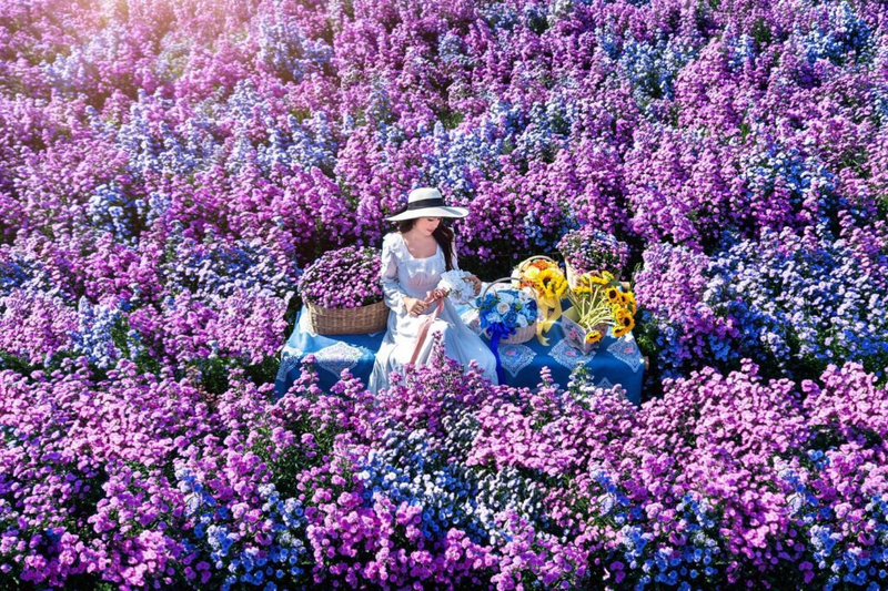 O Festival das Flores em Chiang Mai, em janeiro, é a ocasião perfeita para fotos para o Instagram