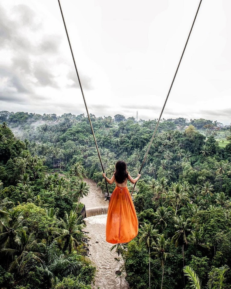 Gotas de chuva tropical caem sobre as folhas grandes de uma palmeira em Bali