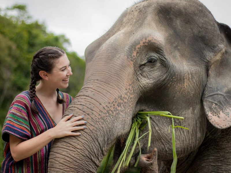 Um visitante sorridente alimentando carinhosamente um elefante resgatado no santuário ético em Chiang Mai
