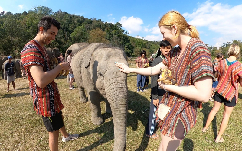 Um visitante sorridente alimentando carinhosamente um elefante resgatado no santuário ético em Chiang Mai
