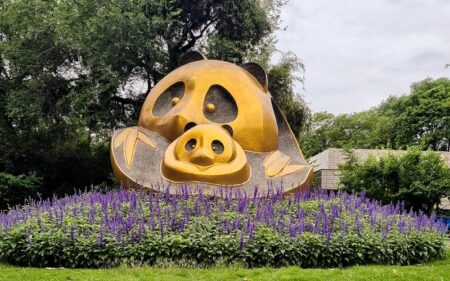 Paquete de viaje por China en la ruta de los Pandas Gigantes