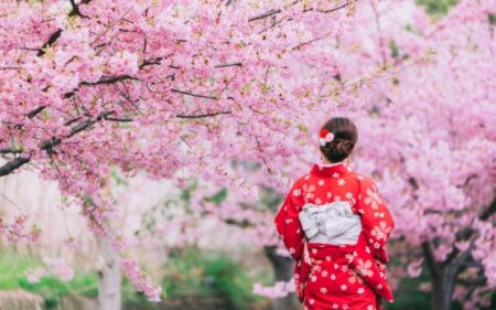 Melhor época para viajar ao Japão: guia por temporada