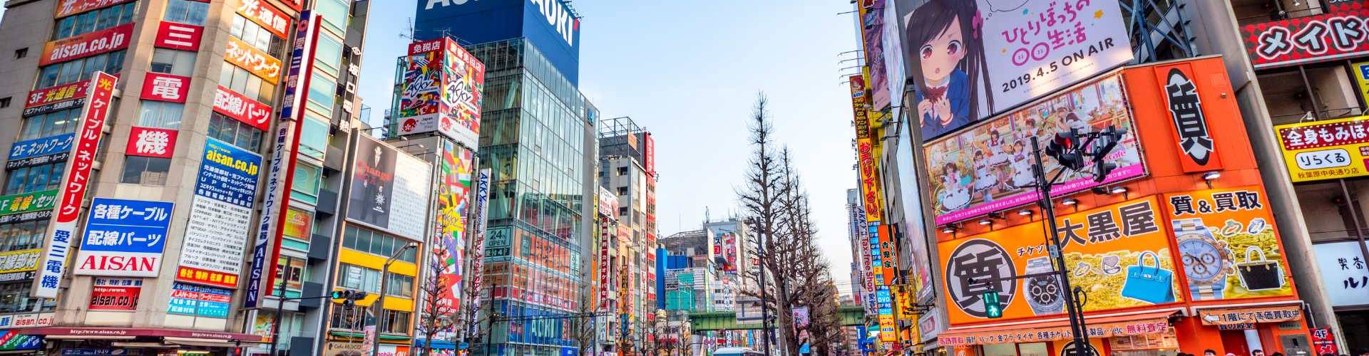 Viagem privativa ao Japão: Explorando o mundo dos Mangás e Animes