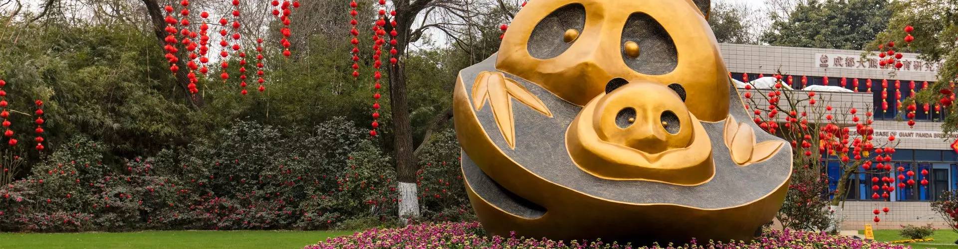 Pacote de viagem pela China na rota dos Pandas Gigantes
