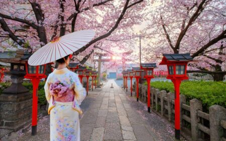 Cerejeiras no Japão com guia em português: Tóquio, Quioto e Osaka