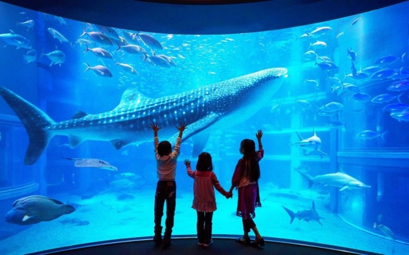 acuario-kaiyukan-osaka-japon