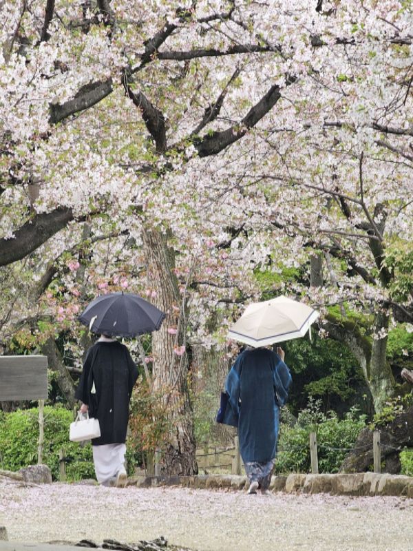 gokuraku-jodo-osaka-japon