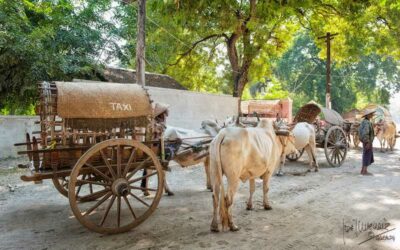 Excursión de día completo a Amarapura, Ava y Sagaing desde Mandalay con guía en español