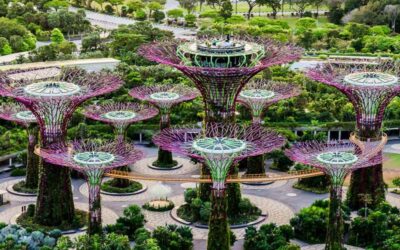 Excursión privada en Singapur con guía en español en privado en 6 horas
