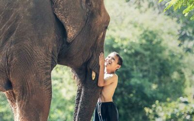 Tailandia imprescindible