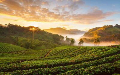 Maravilhas da Camboja, Laos e Tailândia.