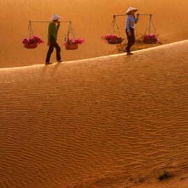 phan thiet attraction