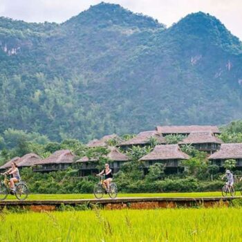 Mai Chau