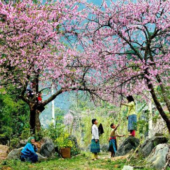 Mai Chau