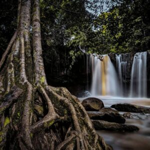 Mondulkiri